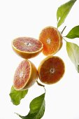 Halved blood oranges, variety 'Tarocco', with leaves