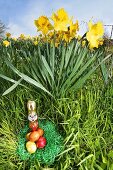 Osternest im Grünen mit Narzissen im Hintergrund