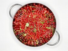 Redcurrants in a colander