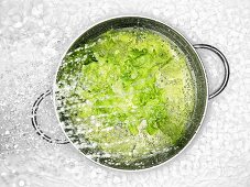 Frische Salatblätter werden mit Wasser bespritzt