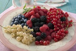 Mixed berries on a plate