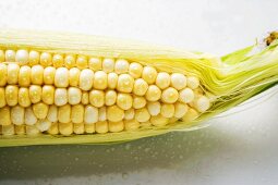 The tip of a corn cob with husks and silk