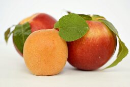 Two nectarines and one apricot