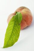Ein Pfirsich mit Blatt