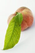 A peach with leaf