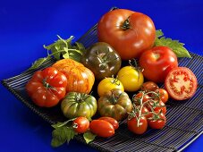 Various types of tomatoes in a bowl