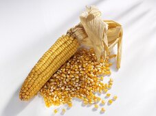 Cob of corn and corn kernels