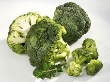 Broccoli