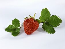 A strawberry with leaves