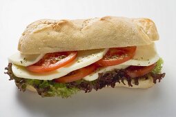 Tomaten-Mozzarella-Sandwich