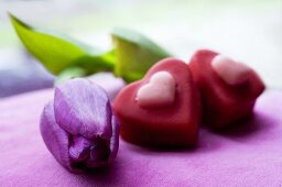 Two heart-shaped chocolates with purple tulip