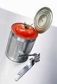 Frische Tomate in geöffneter Konservendose