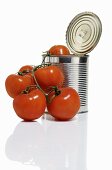 Opened tomato tin with fresh tomatoes