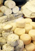 An assortment of raw milk cheeses on sales counter