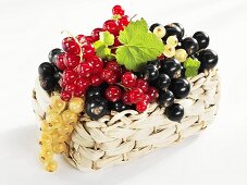 White, black and redcurrants in basket
