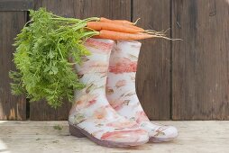 Carrots on top of rubber boots