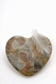 Heart-shaped stone and a feather