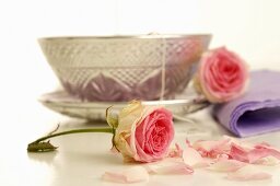 Silver teacup and saucer and pink roses