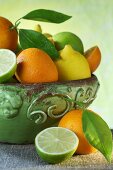 Zitronen, Limetten und Orangen in einer Schale (Ausschnitt)