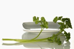 Curly parsley beside white dish
