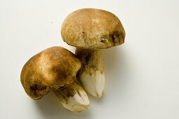 Two ceps