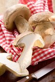 Three ceps, one halved, on wooden board with cloth