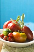 Assorted tomatoes with olive sprig on plate