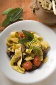 Ribbon pasta with braised oxtail, tomatoes, grissini