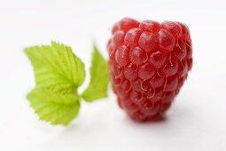 A raspberry with leaf