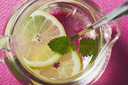 Lemonade with ice cubes and lemon balm