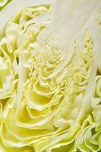 Half a white cabbage (detail)
