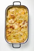 Potato gratin in roasting tin