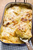 Potato gratin in roasting tin