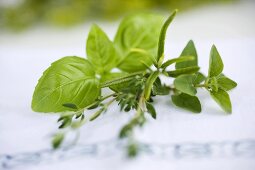 Assorted fresh herbs