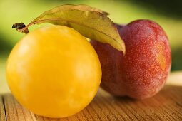 Yellow plum with leaves and red plum