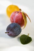 Three different plums