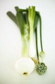 Spring onions and garlic chives