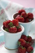 Fresh strawberries in small white pots