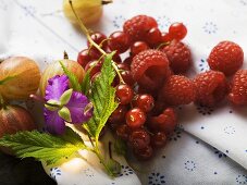 Beerenstillleben mit Blatt und Blüte