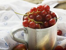 Rote Johannisbeeren in Metalltasse