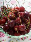 Cherries with drops of water in wire basket