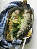 Roast trout in roasting tin