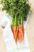 Fresh carrots on tea towel