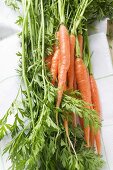 Fresh carrots on tea towel (detail)