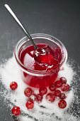 Jar of redcurrant jelly with spoon, sugar and redcurrants