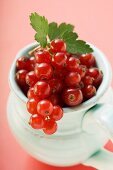 Redcurrants with leaves in a jug