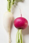 Red radish and icicle radish (detail)