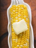 Corn on the cob with knob of melting butter (overhead view)