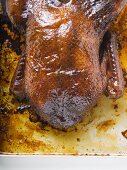 Crispy roast duck (overhead view)