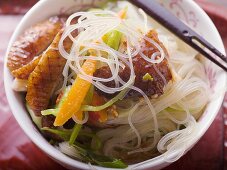 Glass noodles with roast duck breast and vegetables (Asia)